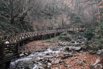 Oylat Ekoturizm Alanı